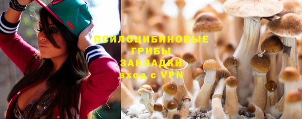 молекула духа Армянск
