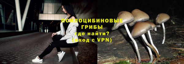 молекула духа Армянск