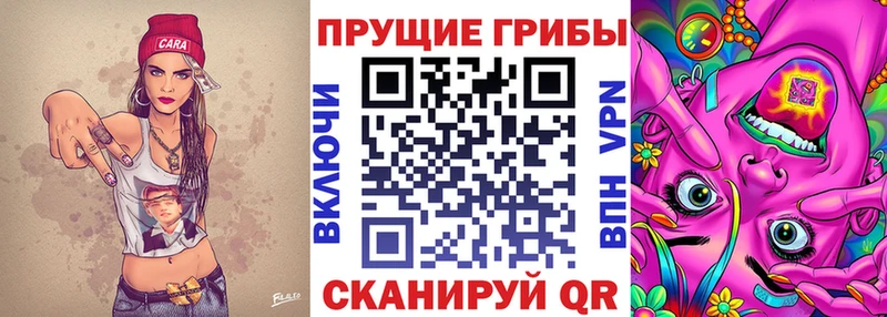 Псилоцибиновые грибы мухоморы  shop телеграм  Малгобек 
